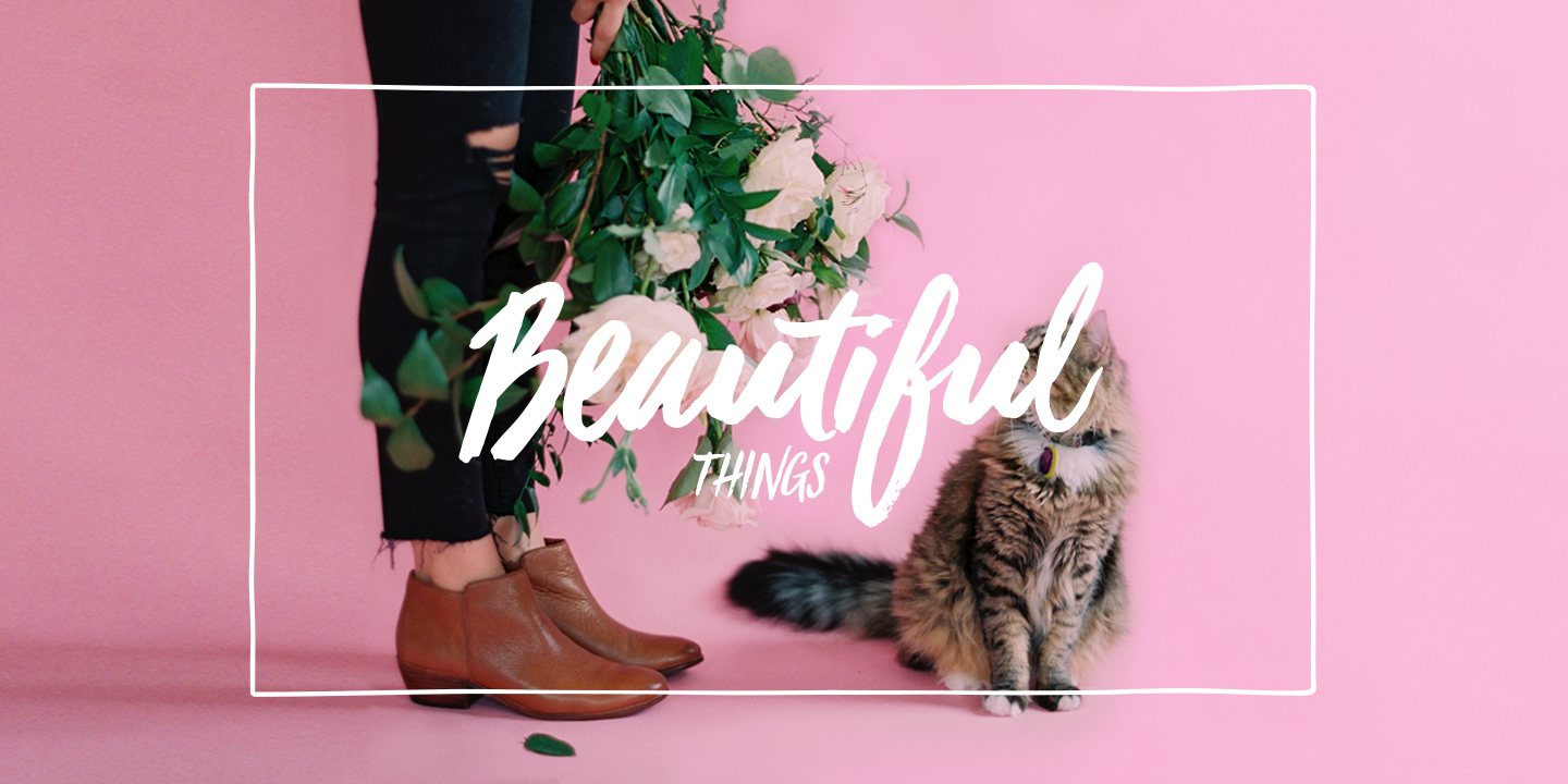 Viva Beautiful